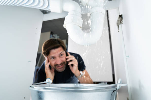 Best Plumbing Installation Services  in Farmington, MN