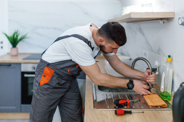 Best Commercial Plumbing Services  in Farmington, MN