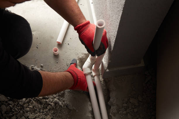 Best Clogged Drain Plumber  in Farmington, MN