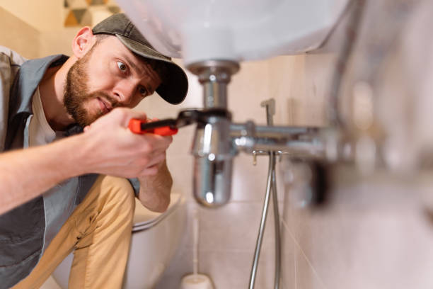 Best Affordable Plumber Near Me  in Farmington, MN