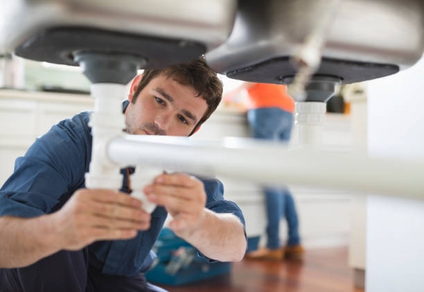 Best Leak Detection Services  in Farmington, MN
