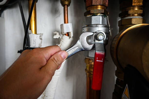 Best Sewer Line Replacement  in Farmington, MN